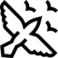 Symbol S55