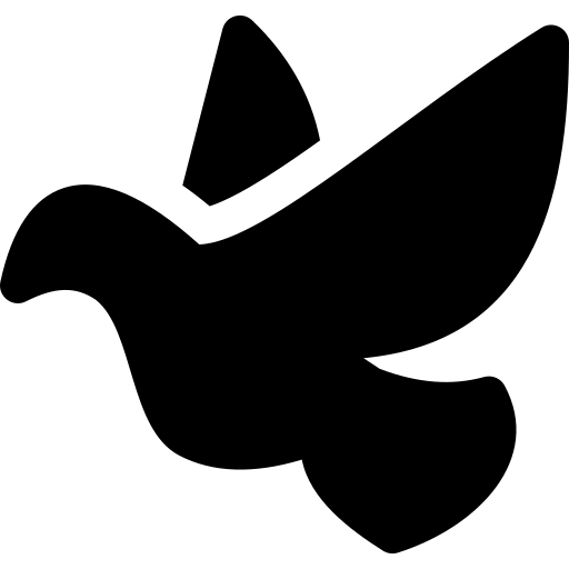 Herz 5