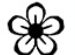 Symbol 19