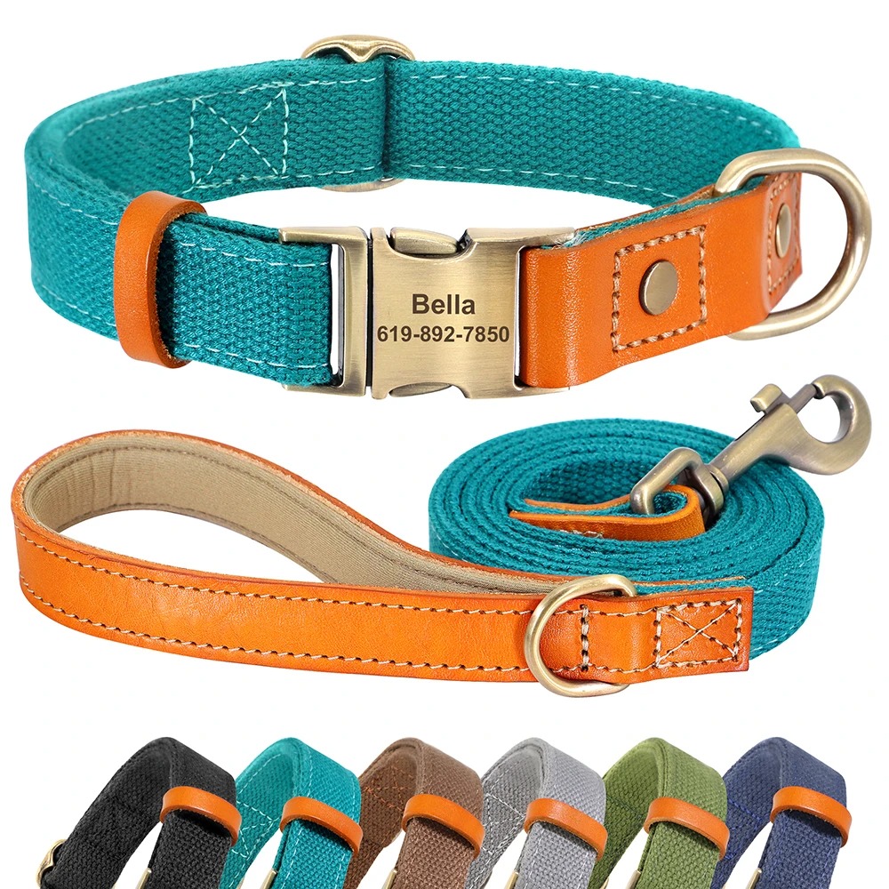 Nylon-Hundehalsband mit Lederakzenten, Gravur & passender Leine