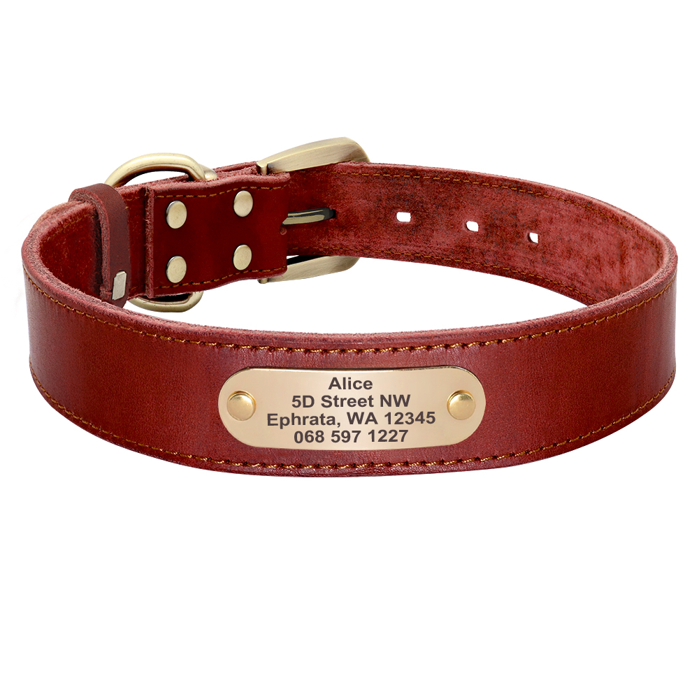 Graviertes Echtleder-Hundehalsband mit Name, Adresse, Nummer – Personalisiertes Halsband