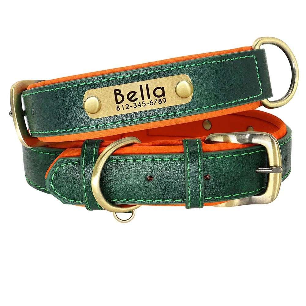 Hunde Lederhalsband mit Gravur | Klasse-Gravur | Individueller Profi